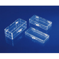 Transparent hinged box - V5-43302