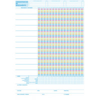 Lot de 250 formulaires REGISTRE D'ADMINISTRATION DES MEDICAMENTS