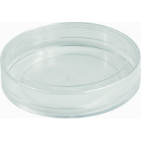 Round Box - Crystal Polystyrene - V1-40