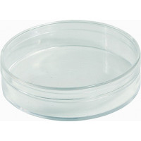 Round Box - Crystal Polystyrene - V1-61