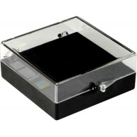 Plastic hinged box with transparent lid and black bottom - V5-21