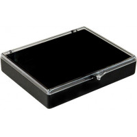 Plastic hinged box with transparent lid and black bottom - V5-31