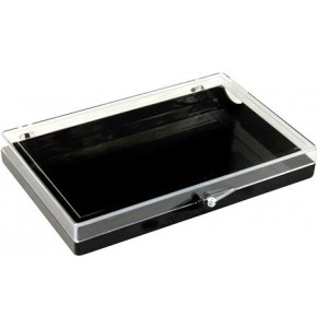 Plastic hinged box with transparent lid and black bottom - V5-36