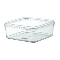 Foodbox carrée TP 192-2000- L192 x l.192 x H77 mm