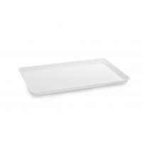 PLEXIGLASS .GN 1/1 - 530X325X17 mm- white