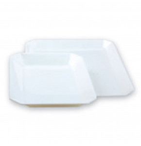 Plexiglas dish with cuts