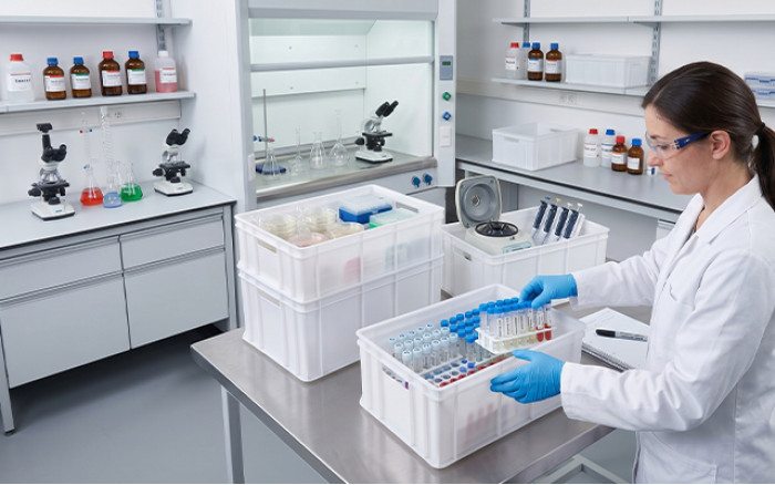 Laboratory trays and containers: how to choose based on chemical constraints?
