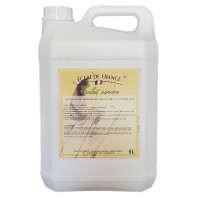 ECLAT SAVON 5L pour brunisseuse
