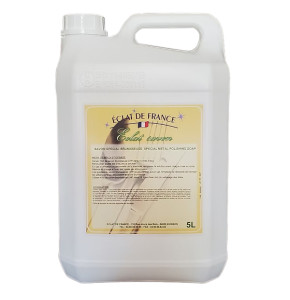 ECLAT SAVON 5L pour brunisseuse