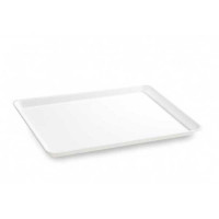 Plat PLEXI.  B53 - 420X305X17mm - blanc